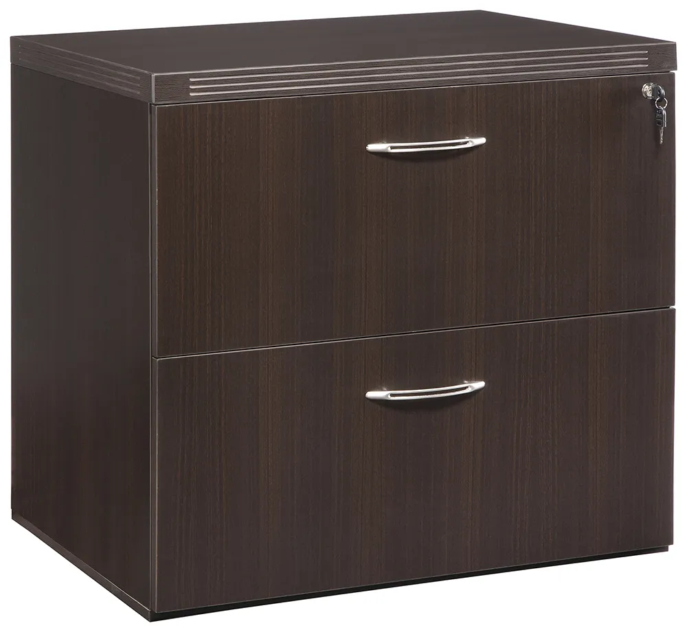 2 Drawer Lateral File Cabinet