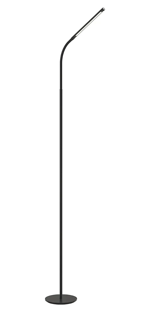 Gooseneck Floor Lamp