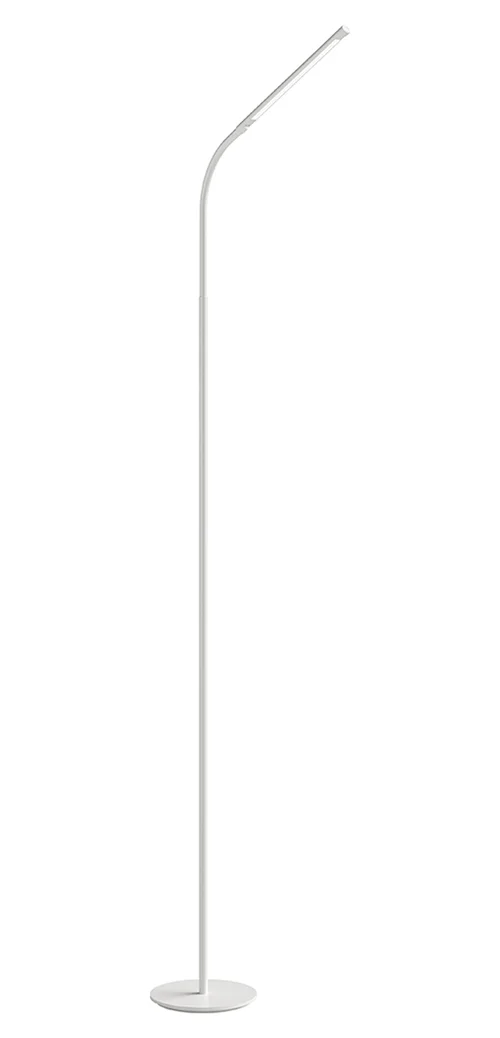 Gooseneck Floor Lamp