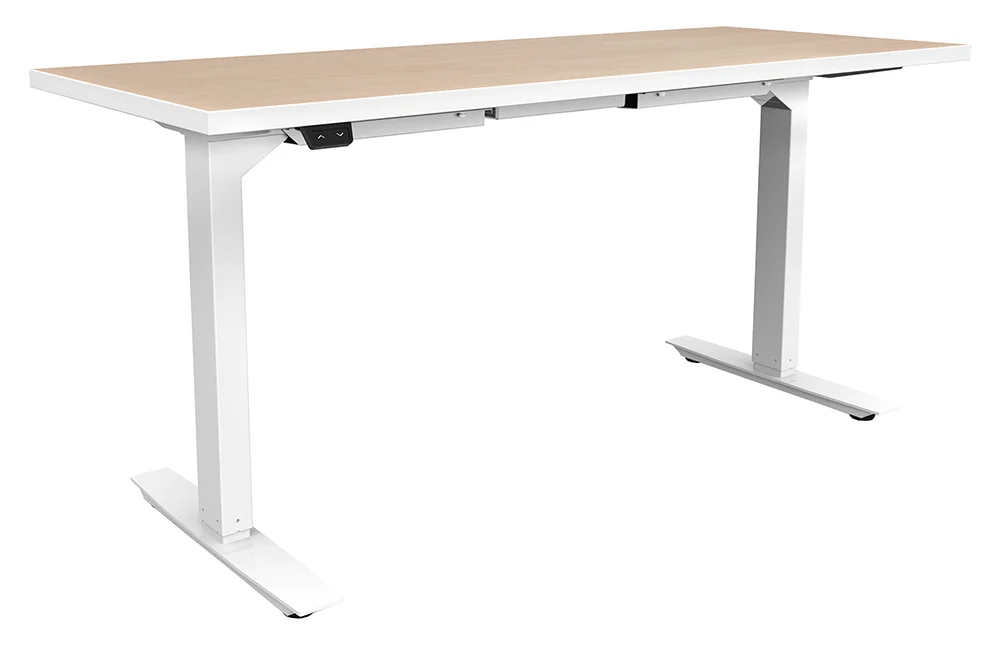 Electric Sit Stand Desk