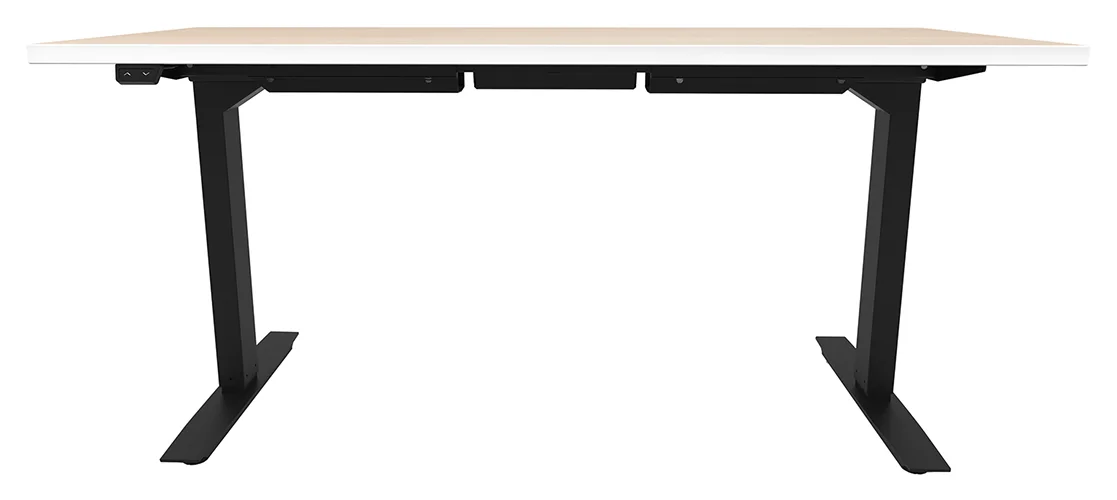 Electric Sit Stand Desk