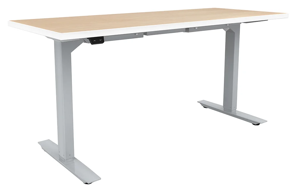 Electric Sit Stand Desk