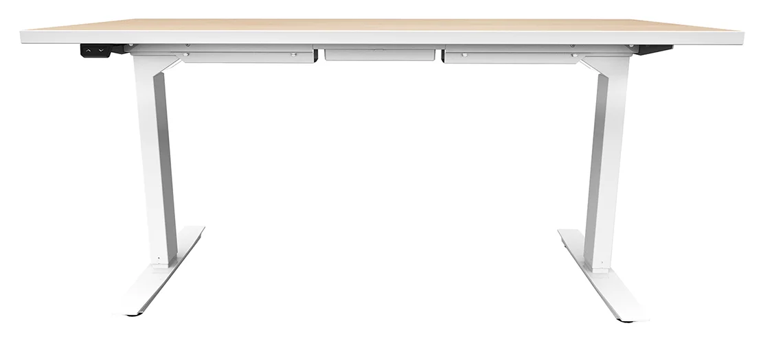 Electric Sit Stand Desk