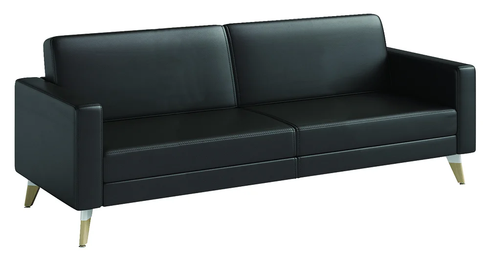 Vinyl Sofa