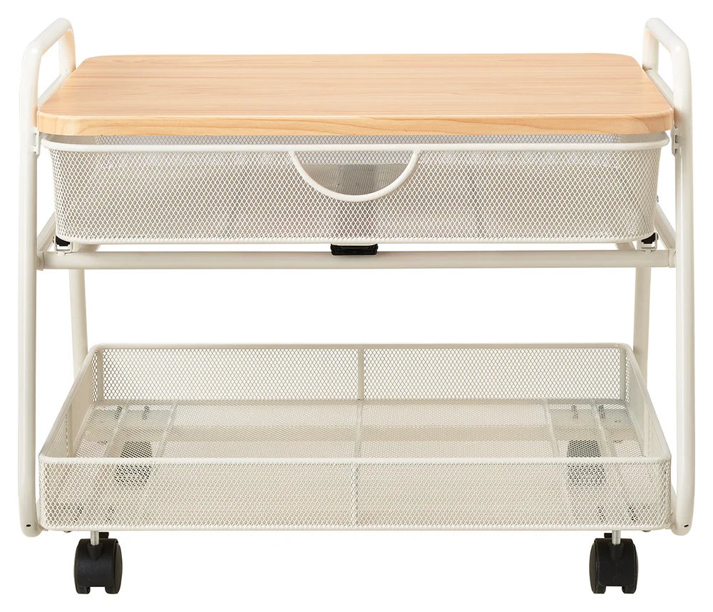 Rolling Printer Stand