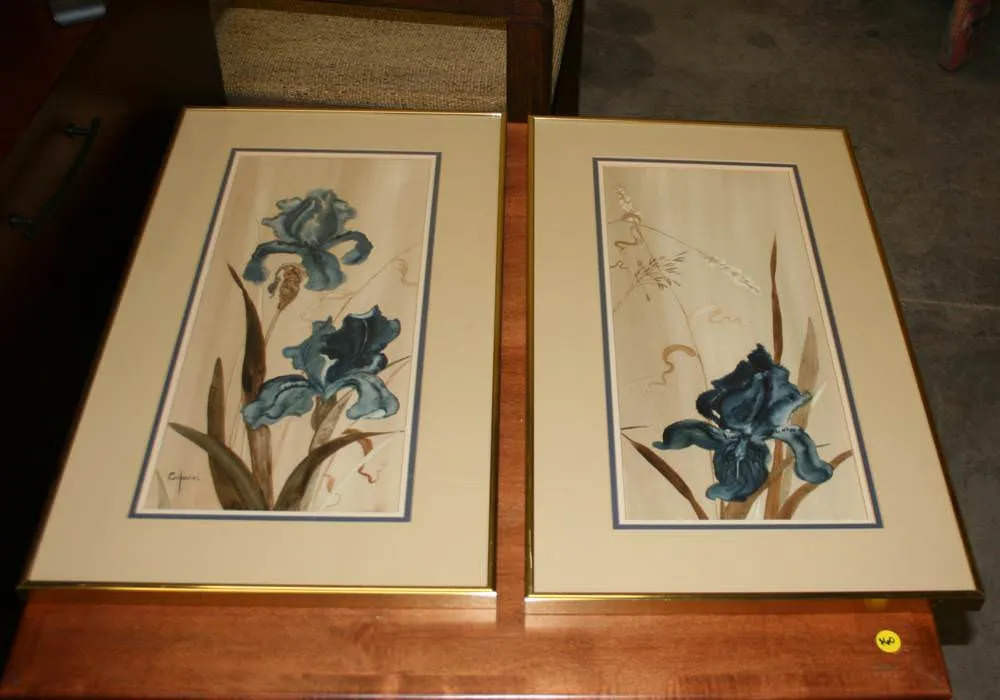 Set of 2 Matching Framed Prints