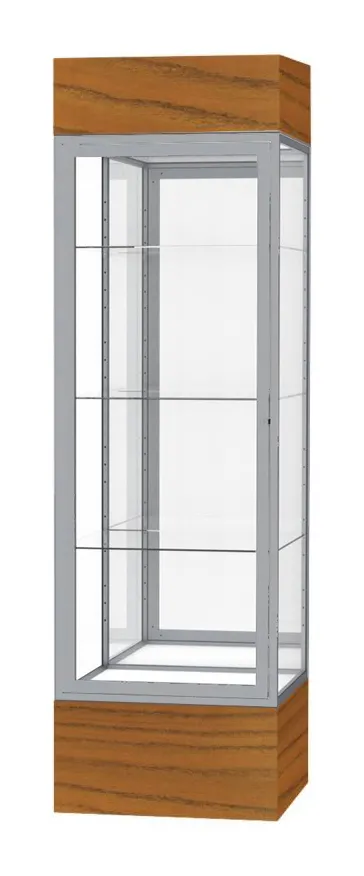 Museum Display Case with LED Lights - 24 x 80