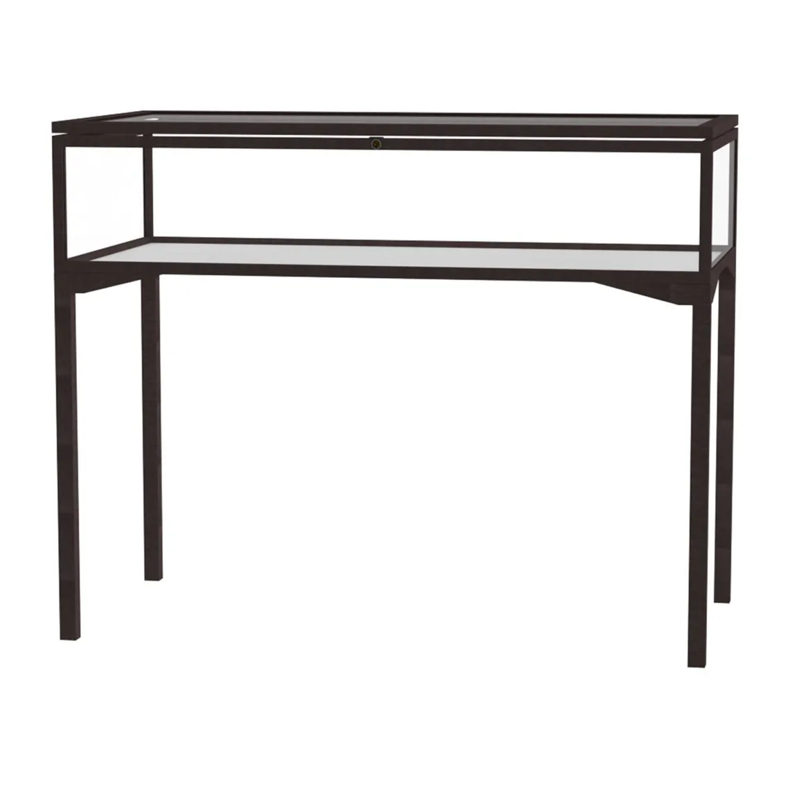 Tabletop Display Case with Hinged Top - 48 x 38