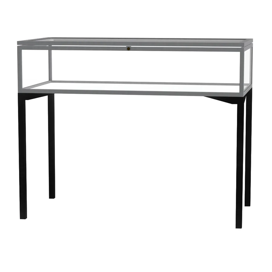 Tabletop Display Case with Hinged Top - 48 x 38