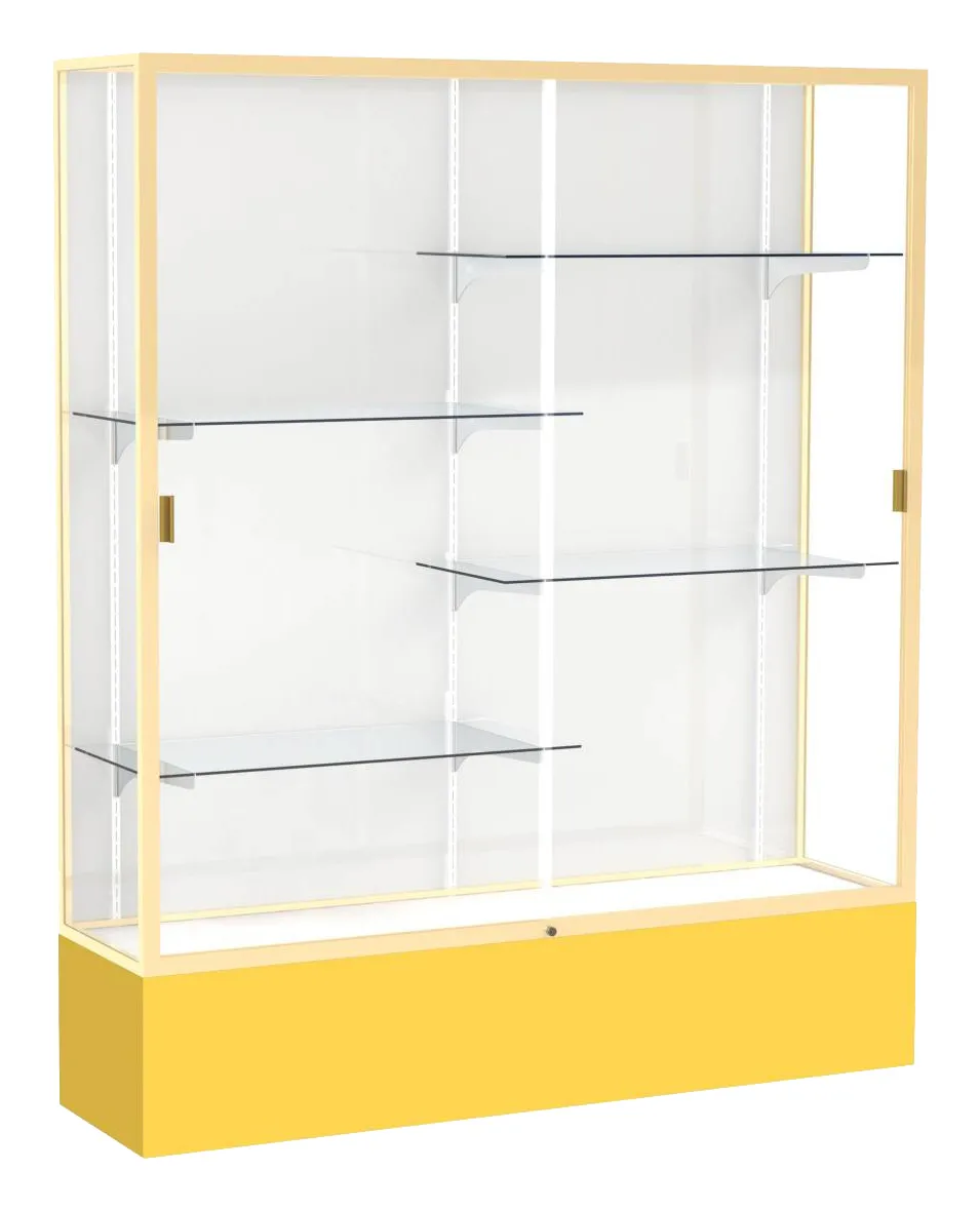 Tall Glass Display Case - 60 x 72