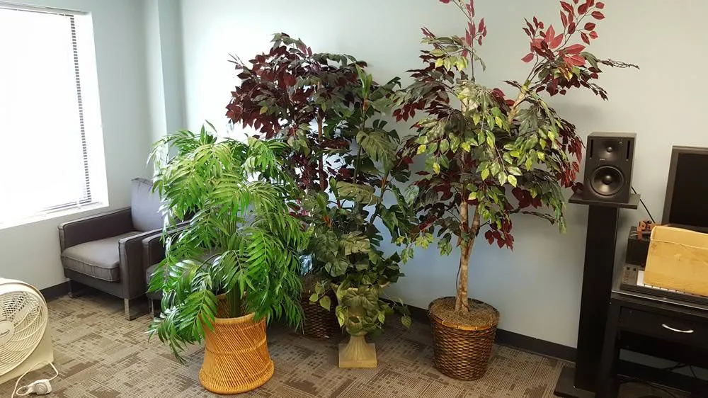 Assorted Large Artificial Fake Plants