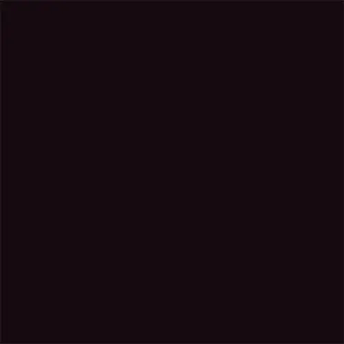 Black Coffee P47 Color