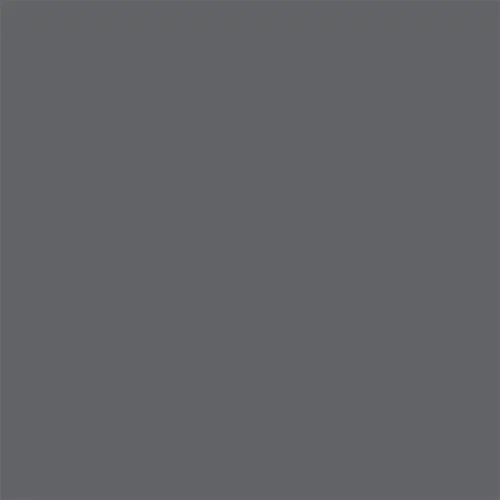 Cool Grey P05 Color