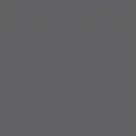 Cool Grey P05 Color