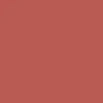Coral P41 Color