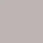 Grey P06 Color