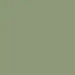 Pale Green Color