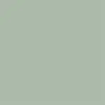 Sage Color