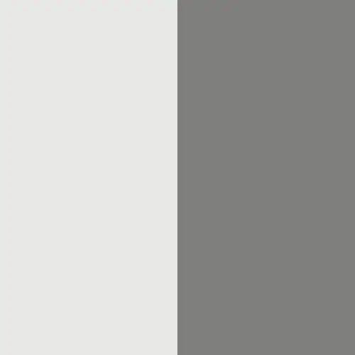 White / Grey Color