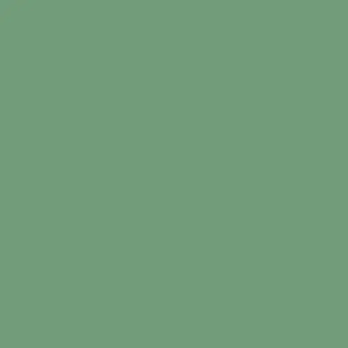 Pale Green Frame Color