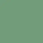 Pale Green Frame Color