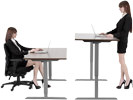 Sit Stand Desks