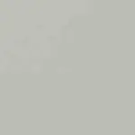 Light Grey Color