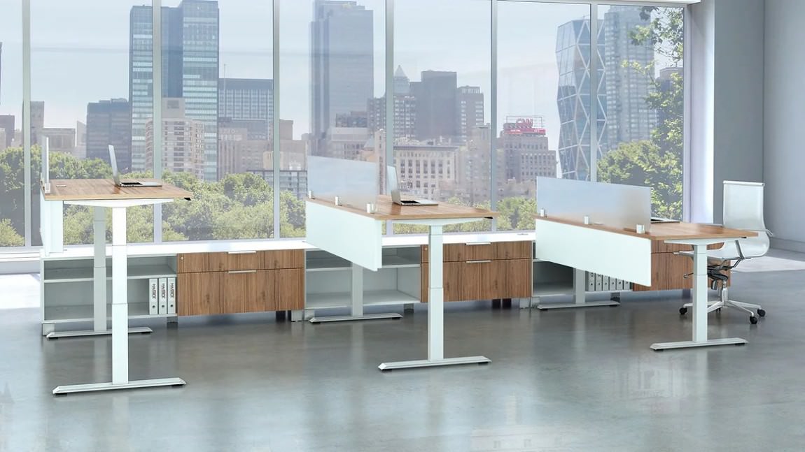 3 Person Height Adjustable Desk With Storage
