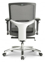 Mesh Back Task Chair with Lumbar Support