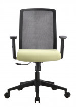 Mesh Back Task Chair with Green Seat Cover