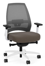 Ergonomic Office Chair with Lumbar Support