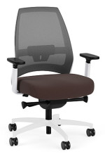 Ergonomic Office Chair with Lumbar Support