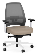 Ergonomic Office Chair with Lumbar Support