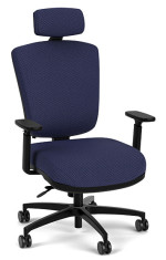 Ergonomic Chair with Lumbar Support and Headrest