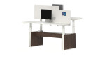 2 Person Height Adjustable Desk with Privacy Panels