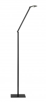 Adjustable LED Floor Lamp