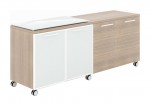 Mobile Credenza Storage Cabinet