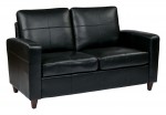 Leather Waiting Room Loveseat