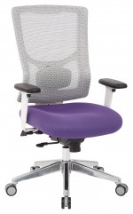 Mesh Back Task Chair