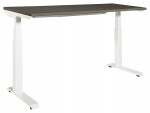 Sit Stand Height Adjustable Desk