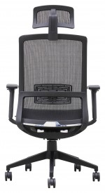 Mesh Back Task Chair with Headrest