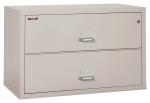 2 Drawer Lateral Fireproof File Cabinet - 45