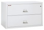 2 Drawer Lateral Fireproof File Cabinet - 45