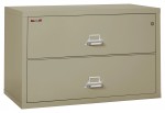 2 Drawer Lateral Fireproof File Cabinet - 45