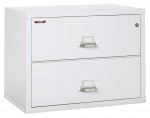 2 Drawer Lateral Fireproof File Cabinet - 38