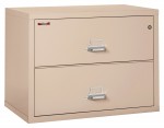 2 Drawer Lateral Fireproof File Cabinet - 38