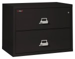 2 Drawer Lateral Fireproof File Cabinet - 38