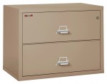 2 Drawer Lateral Fireproof File Cabinet - 38