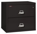 2 Drawer Lateral Fireproof File Cabinet - 32 Wide