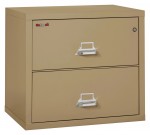 2 Drawer Lateral Fireproof File Cabinet - 32